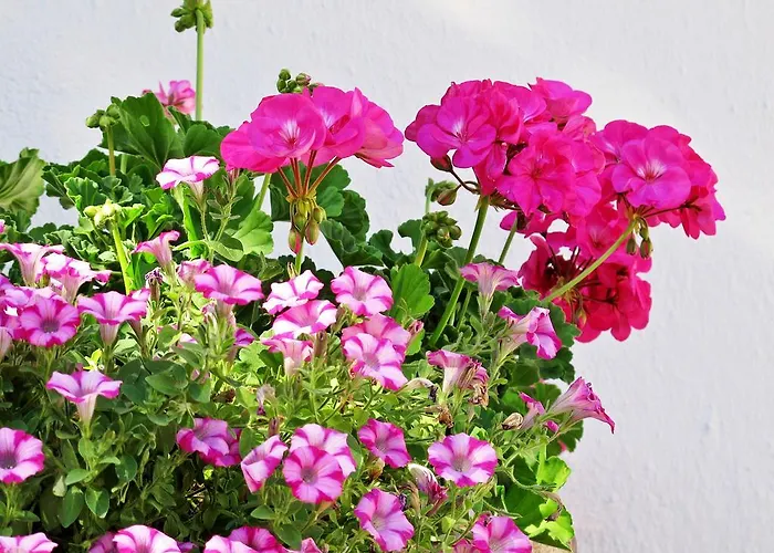 Isabella Appartement Mieming